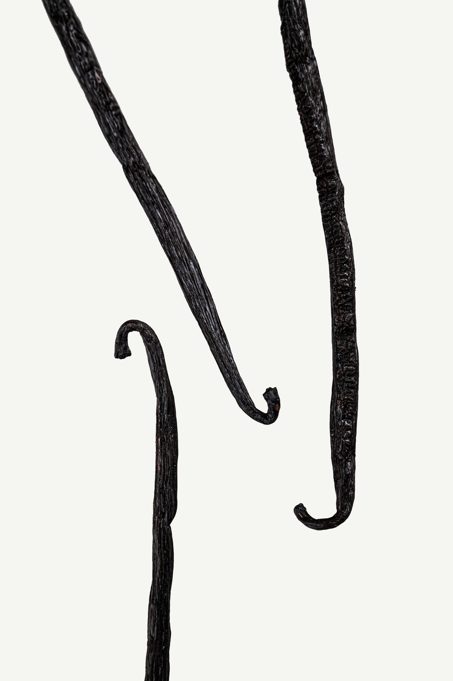 Premium Bourbon Vanille Schoten