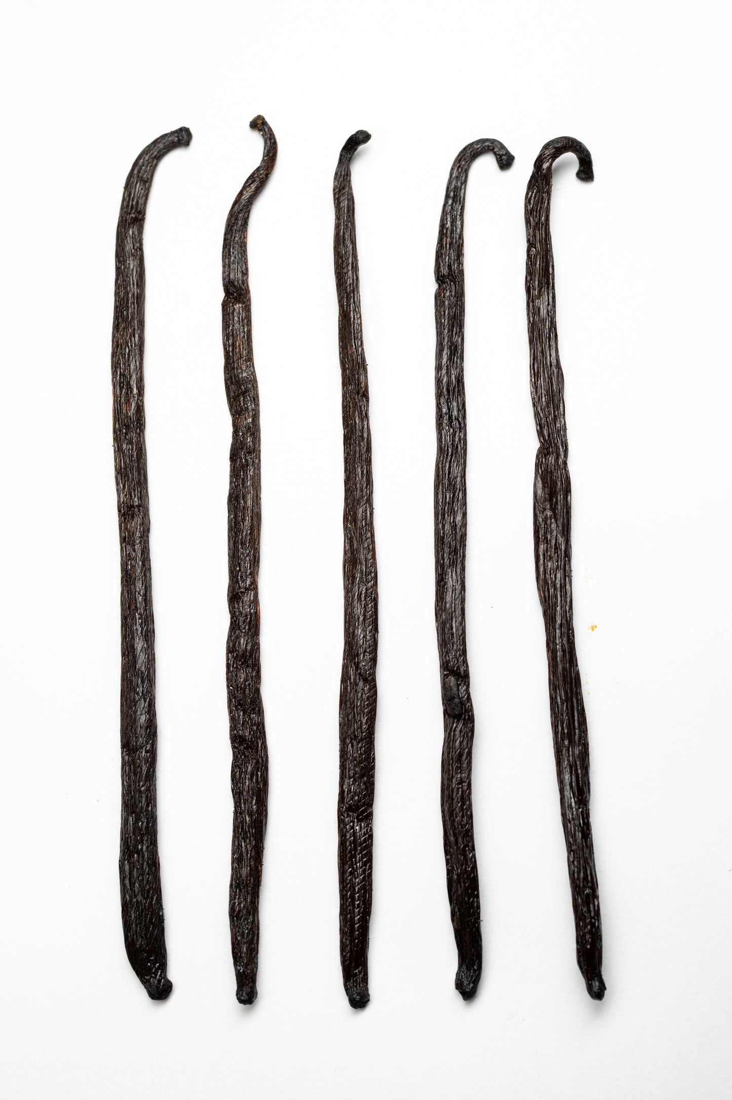 Premium Bourbon Vanille Schoten