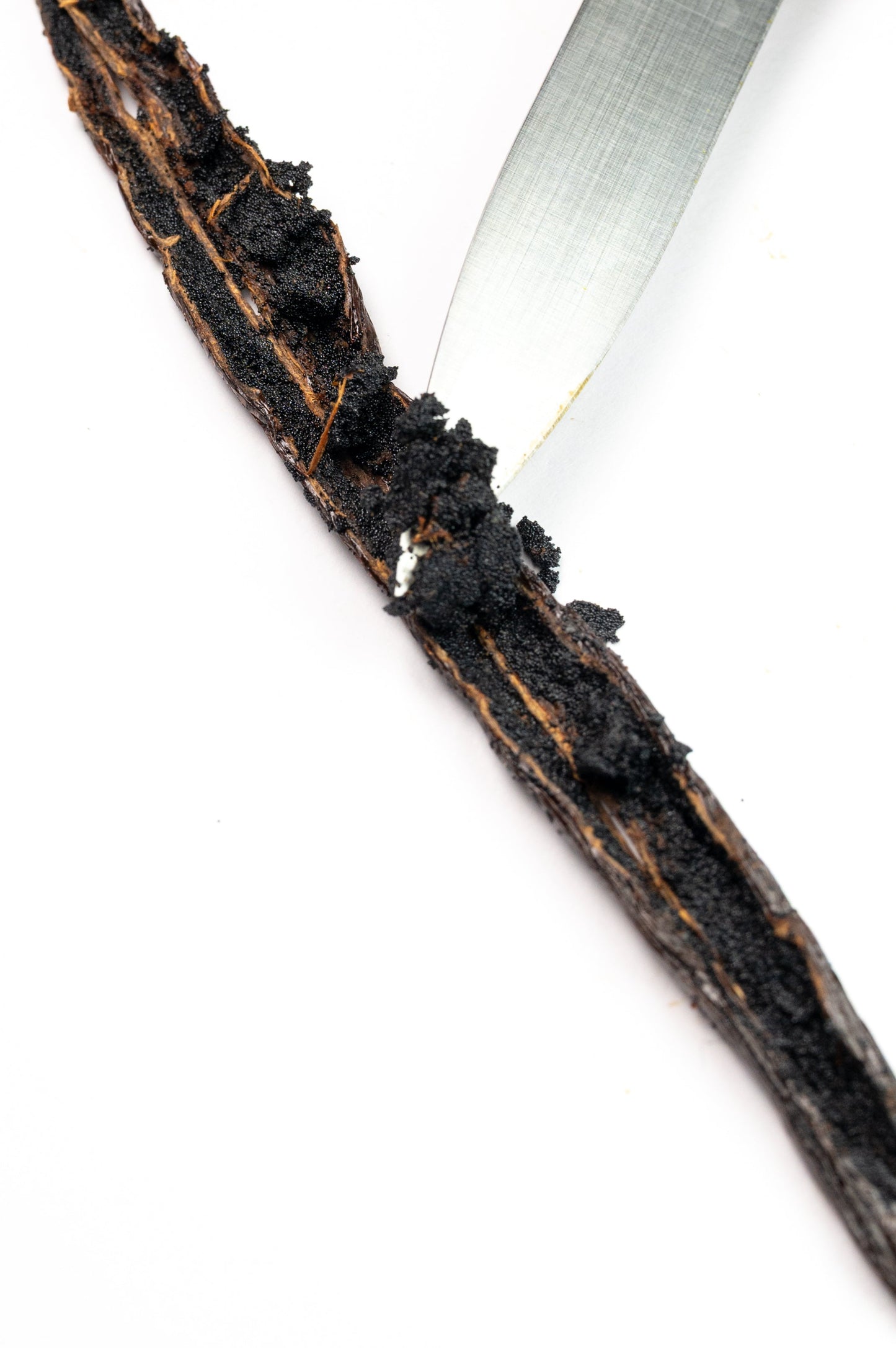 Bourbon Vanille Mark