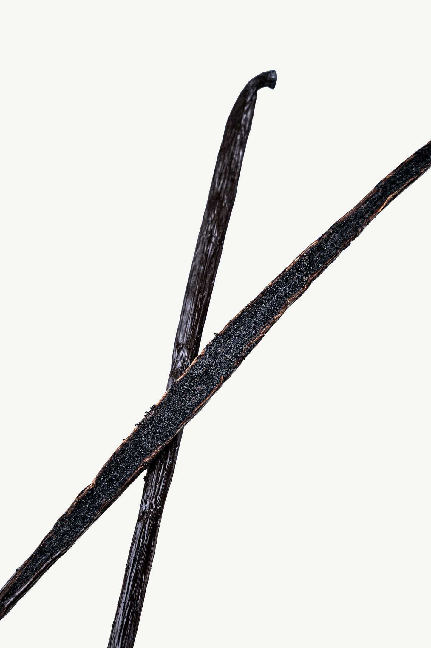 Premium Bourbon Vanille Schoten