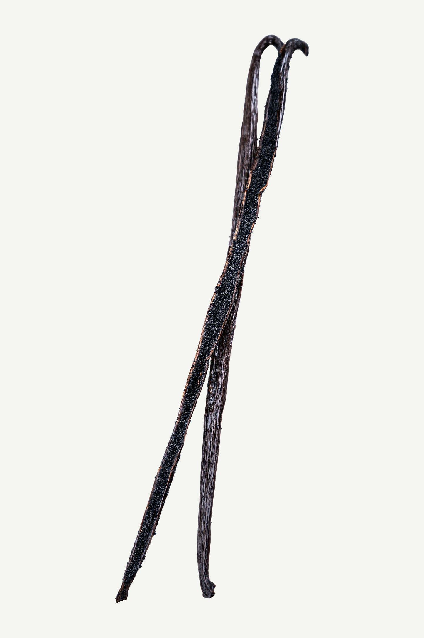 Premium Bourbon Vanille der Güteklasse B