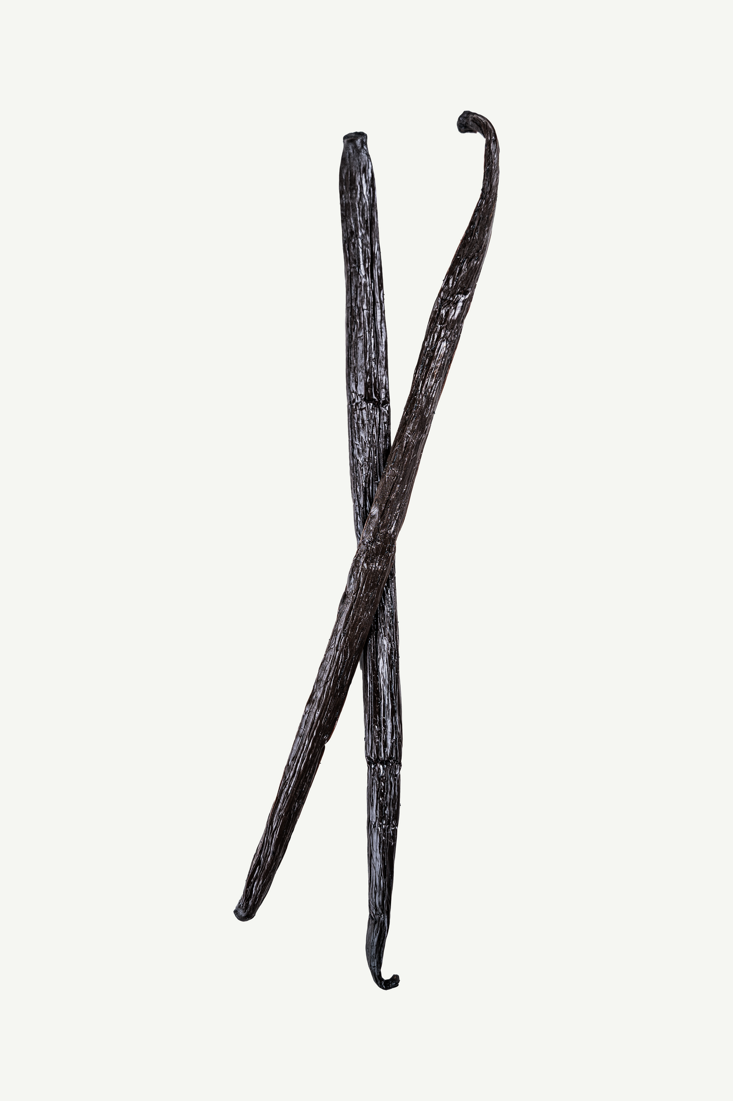 Premium Bourbon Vanille Schoten